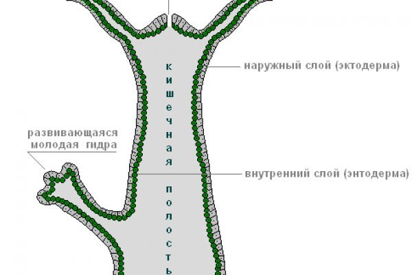 Кракен актуальная ссылка тор