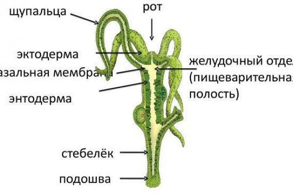 Кракен kr2web in что это