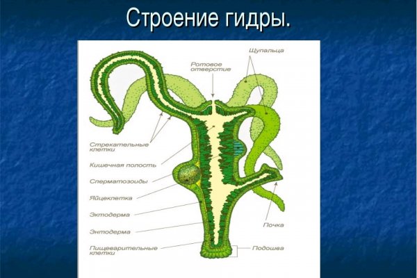 Vk8 at кракен