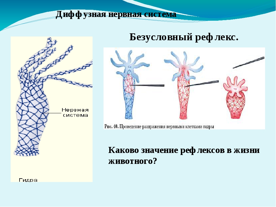 Кракен официальная kr2web in