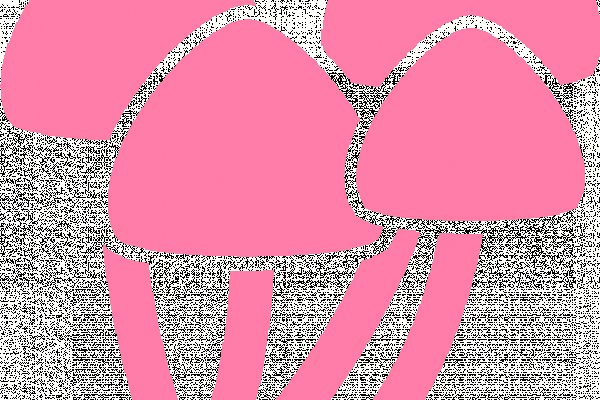 Ссылка на магазин кракен